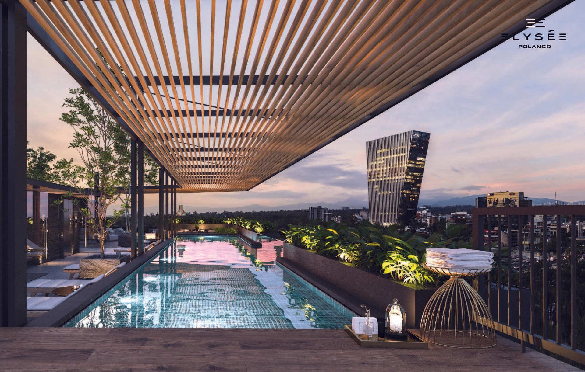 Elysée Polanco — image 1